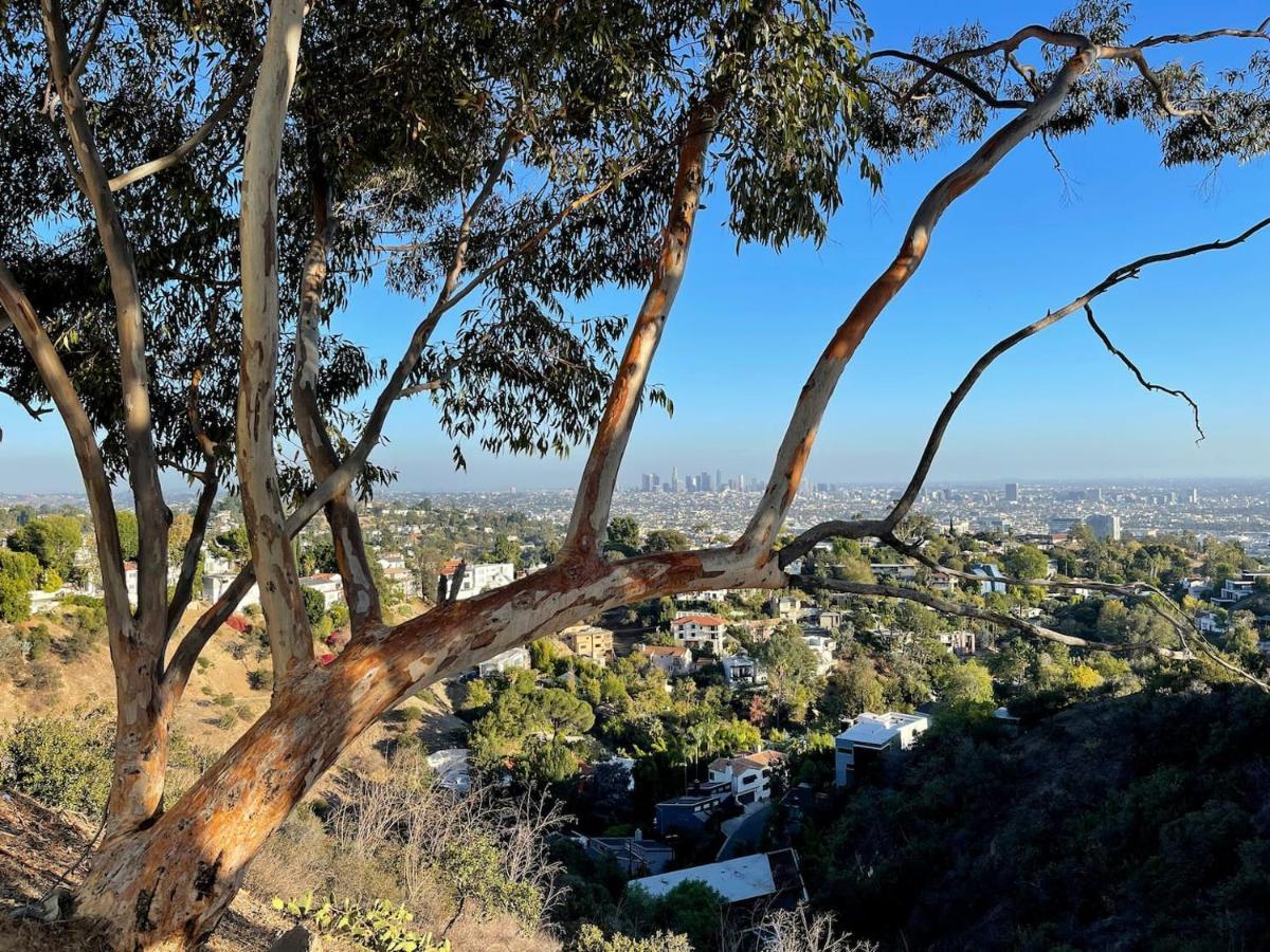 Hollywood Hills 1940S Mansion Hotel Los Angeles Kültér fotó